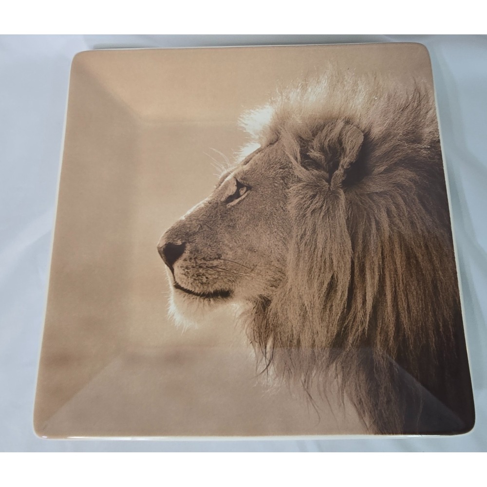 Dario Farrucci Designs 10.5" Square Dinner Plate Lion Sepia Photo Africa Safari